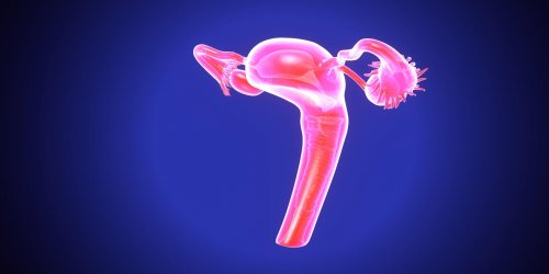 Conisation du col de l-uterus : les indications