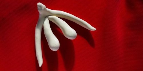 Orgasme vaginal ou clitoridien : le clitoris, un organe a l-origine du plaisir feminin