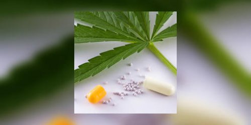 Le cannabis, un medicament pour soigner quoi ?