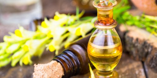 Urticaire : les huiles essentielles a tester