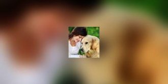 Sante animale : mieux comprendre son chien pour gerer ses mauvaises habitudes