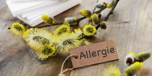 Allergie croisee : pollens et aliments