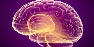 A quoi est due une meningite sans fievre ?