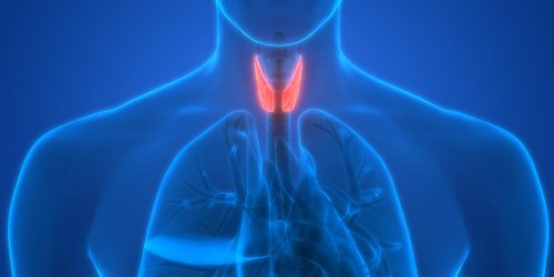 Du nodule thyroidien au cancer de la thyroide