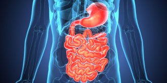 Diverticule de Meckel : tout savoir sur l-operation