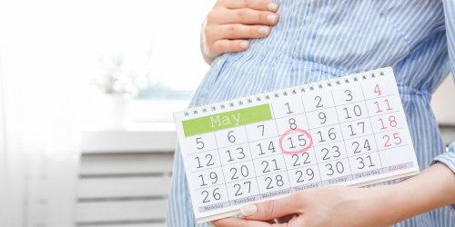 Semaines et mois de grossesse : comprendre le calendrier de sa grossesse