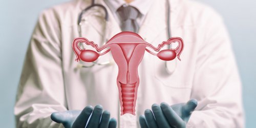 Une troisieme greffe d’uterus en France