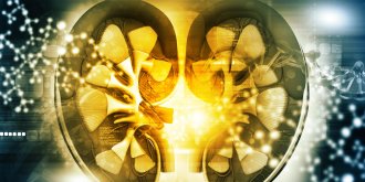 Creatinine elevee : un signe de probleme renal ?