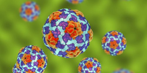 Hepatite A : une transmission principalement alimentaire