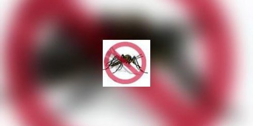 Des moustiques genetiquement modifies contre le palu