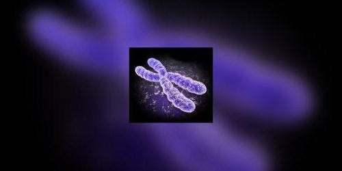Anomalies chromosomiques : de grandes oubliees