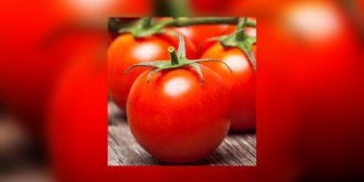 Tomates rouges et mures : pourquoi vous devez en manger souvent 