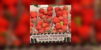 Wimbledon ? Du tennis et des fraises