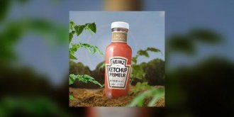 Le Ketchup primeur 2012 est arrive