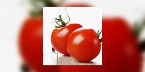 Les tomates : comment bien les choisir