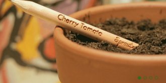 Sprout, un crayon qui devient une plante