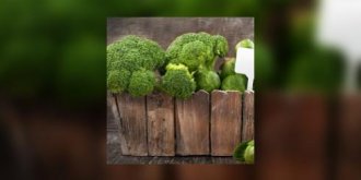 Comment choisir un bon brocoli ?