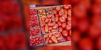 Et si vous choisissiez de bonnes tomates ?