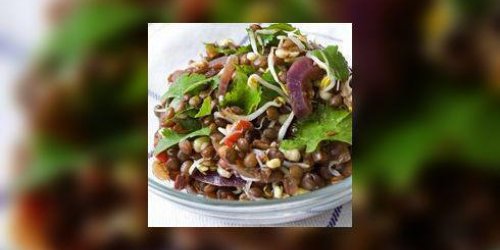 Salade de lentilles, champignons vinaigres et crus