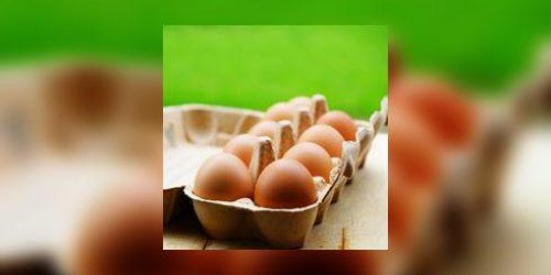 Les œufs : au frigo ou pas au frigo ?