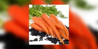 Faut-il vraiment manger des carottes ?