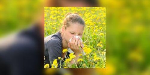 Allergiques, ne soyez plus passifs face aux pollens !
