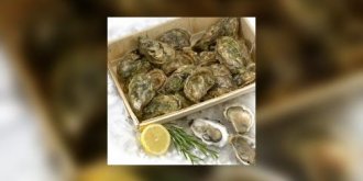 Les huitres pour Noel ? En bourriche !
