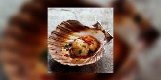 Coquilles Saint-Jacques : gare aux arnaques !