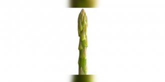 Aphrodisiaques, les asperges ?