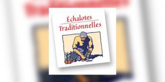 L’echalote traditionnelle arrive dans votre panier !