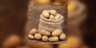 Patates, gardez-les à l'ombre