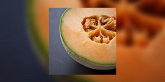 Comment bien preparer un melon