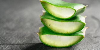 Aloe vera : pourquoi il ne faut pas consommer ses feuilles fraiches