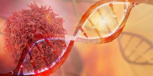 BRCA1, BRCA2, PALB2 : l-alteration de ces genes surexpose au risque de cancer du sein