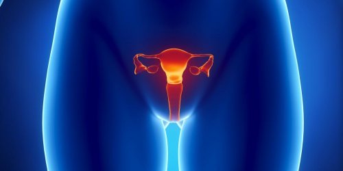 Papillomavirus : pourquoi l’Australie est en passe d’en finir avec le cancer du col de l’uterus