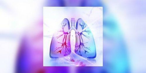  Cancer des poumons : faut-il depister tous les fumeurs ? 