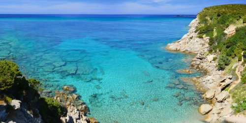 Plages du Var : attention a la presence de ces raies dangereuses