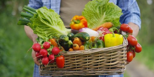Alimentation : 6 residus de pesticides sur 10 seraient des perturbateurs endocriniens ?