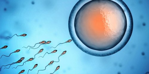 Qualite du sperme : une baisse due a de multiples causes environnementales