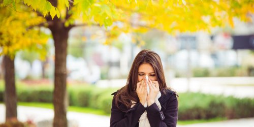 Allergies aux pollens : les departements les plus exposes
