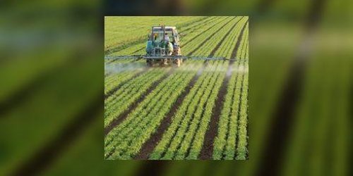 Pesticides perturbateurs endocriniens : leur omnipresence est de plus en plus inquietante 