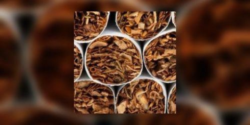 Tabac : 6 millions de morts par an dans le monde