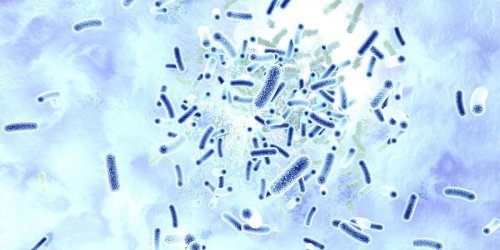 Les bacteries multi resistantes responsables de 33 000 morts en Europe en 2015