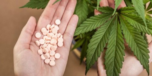 Etats-Unis : Epidiolex, le premier medicament a base de cannabis autorise
