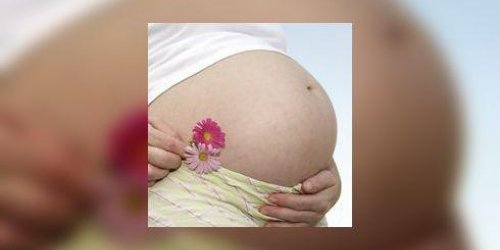 Virus Zika : les voyages en Outre-mer sont deconseilles aux femmes enceintes