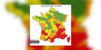 Moustiques tigre : l’invasion s’intensifie