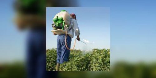 Pesticides : les Francais sont toujours surexposes 