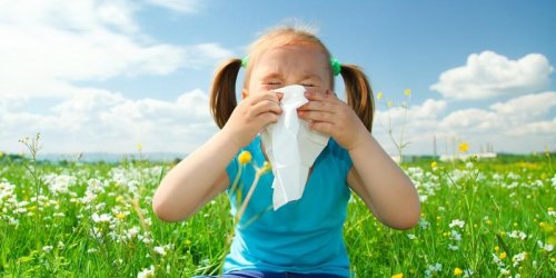 Les allergies sont plus graves et plus frequentes chez l-enfant