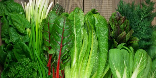 Cerveau : manger des legumes verts serait benefique