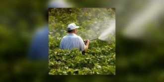 Pesticides et sante : quels risques ?